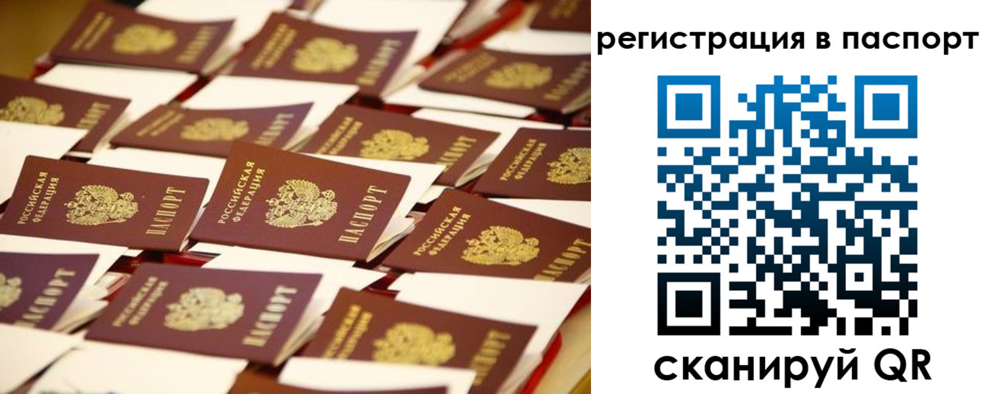 прописка гарантия в Няндоме